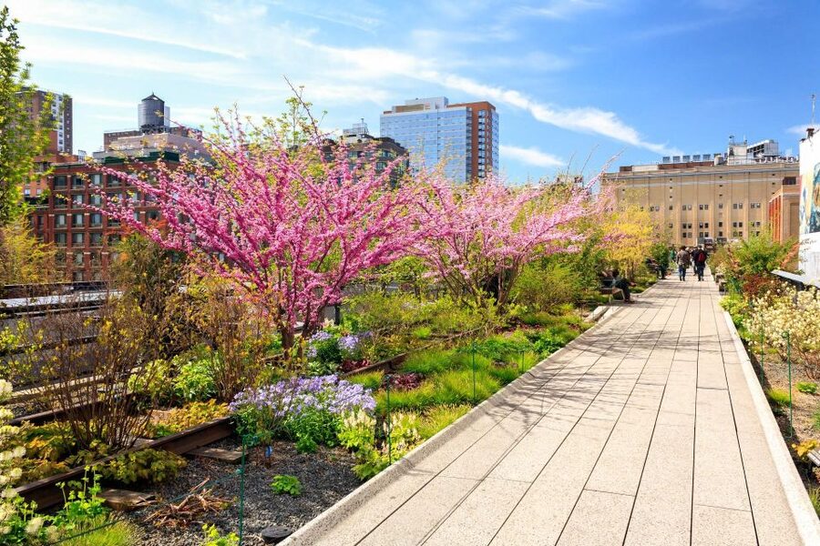 Private Tour of High Line, Chelsea, Hudson Yards and Edge - Adding Edge: what changes on the 3 and 4.5-hour options