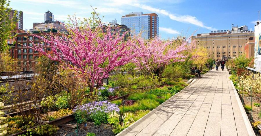 Private Tour of High Line, Chelsea, Hudson Yards and Edge - Should you book this High Line, Chelsea, Hudson Yards, and Edge tour?