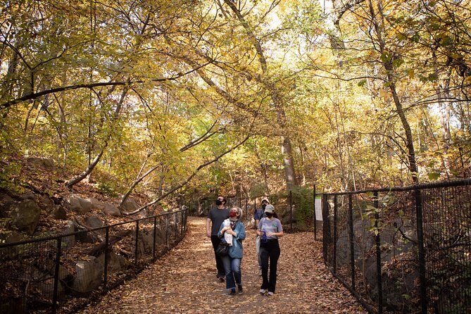 Prospect Park Tour - Sights like Picnic House and memorials that give the park its personality