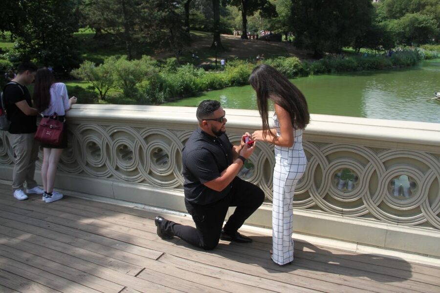 Romantic/Proposal Central Park Carriage Tour Up to 4 Adults - The built-in romance: champagne, roses, and proposal-ready pacing