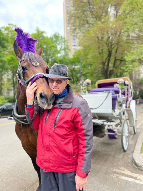 Royal Carriage Ride in Central Park NYC - Who this Royal Carriage Ride fits best