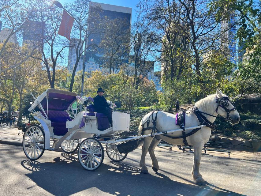 Royal Carriage Ride in Central Park NYC - Where the Royal Carriage Ride Starts at 22 East Dr (and how to find it fast)