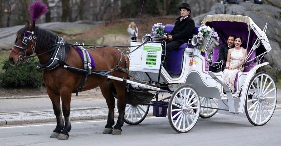 Royal Carriage Ride in Central Park NYC - Price and group value: the $155 per group up to 4 math