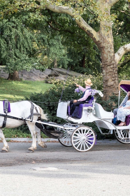 Royal Carriage Ride in Central Park NYC - The horses and the owner-operator approach: what the “family” idea means on the ground