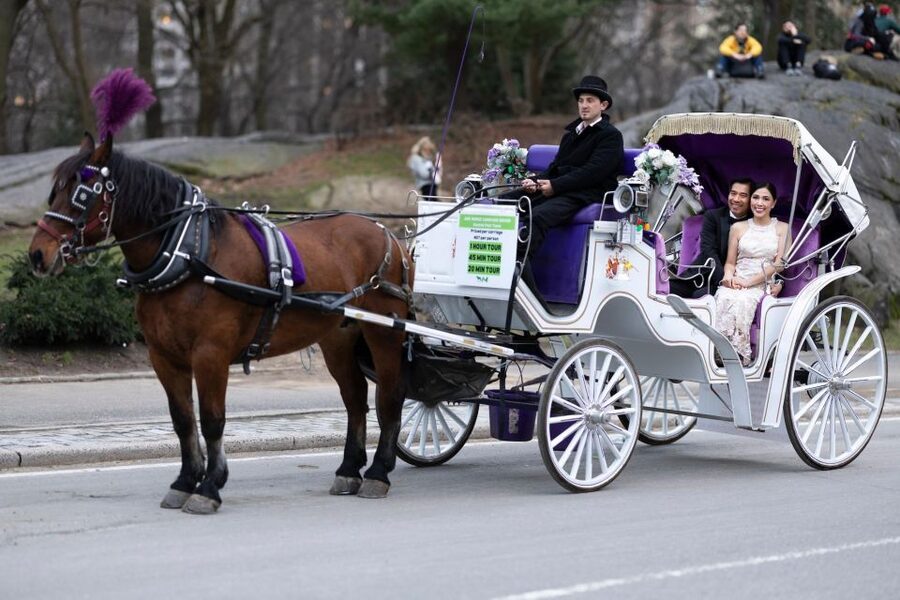 Royal Carriage Ride in Central Park NYC - The guide experience: live commentary that helps you enjoy it, not just watch it