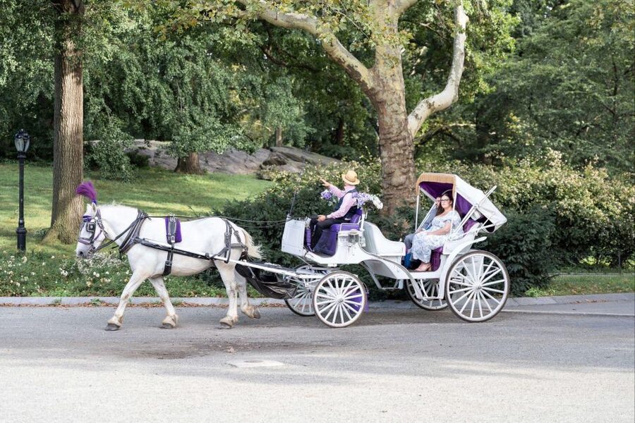 Royal Carriage Ride in Central Park NYC - Group size gotchas: when the ride time can shrink