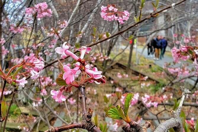 Secrets of the High Line - Meatpacking District Pass-Through With Helpful Commentary