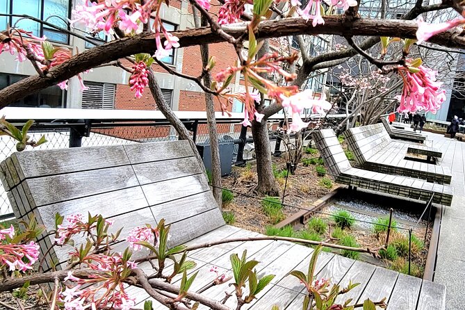 Secrets of the High Line - Small Group, English Only, and Other Details That Affect Your Comfort