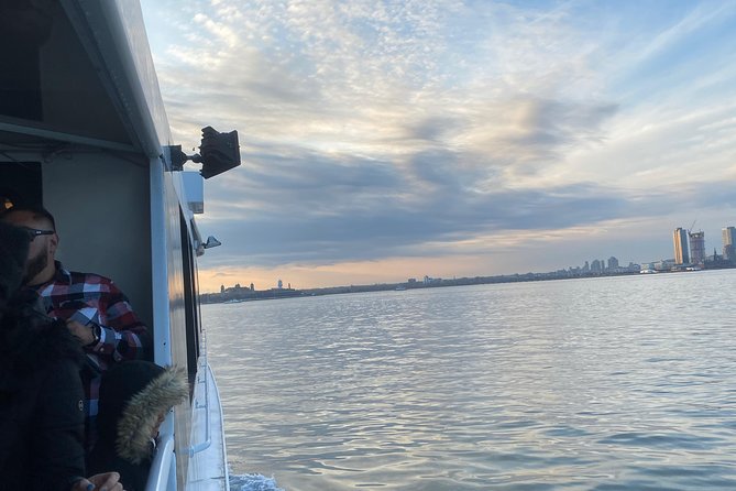Statue of Liberty Sightseeing Cruise 60 Min - Who Should Book This Statue of Liberty Cruise