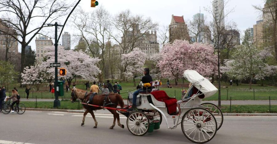 Tavern on the Green PickUp&DropOff With Horse Carriage Ride - Key highlights that matter before you book
