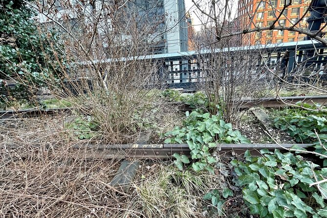 The Story of the High Line Elevated Park and Hudson Yards - Chelsea and Hudson Yards: spotting how neighborhoods evolve together
