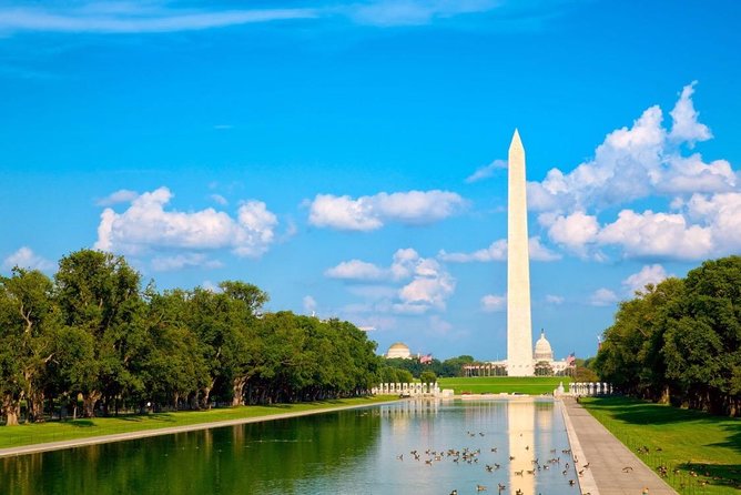 Tour from New York to Washington in 1 Day - Smithsonian Bonus: 1.5 Hours of Free Museum Admission