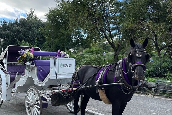 Unforgettable Luxury Horse and Carriage Tours in Central Park - Key things I’d bet on before you book