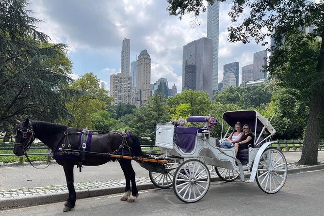 Unforgettable Luxury Horse and Carriage Tours in Central Park - A 40 to 45 Minute Central Park Ride That Covers the Best Sights