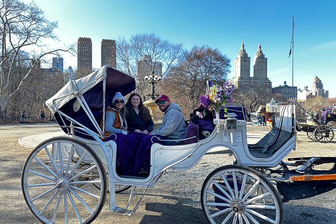 Unforgettable Luxury Horse and Carriage Tours in Central Park - Blankets, Carrots, and a Pace That Feels Like NYC, Not a Sprint