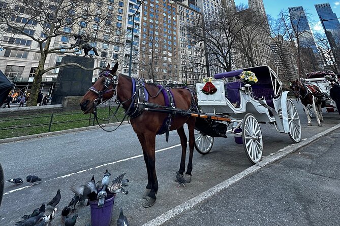 Unforgettable Luxury Horse and Carriage Tours in Central Park - Central Park Photo Stops With Movie Energy and Pop-Culture Clues