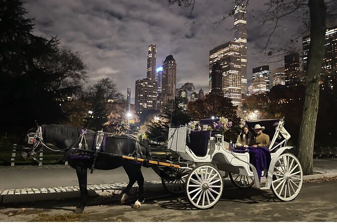 Unforgettable Luxury Horse and Carriage Tours in Central Park - Cherry Hill for Cherry Blossoms and Classic Proposal Spot Energy