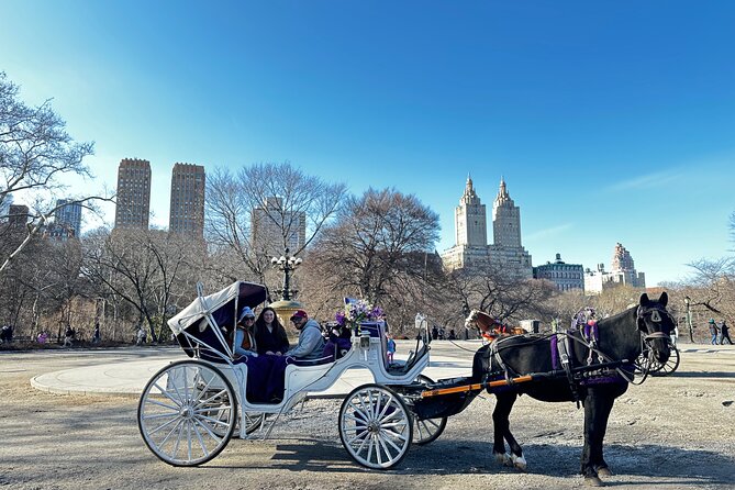 Unforgettable Luxury Horse and Carriage Tours in Central Park - The Stories That Make It More Than Sightseeing