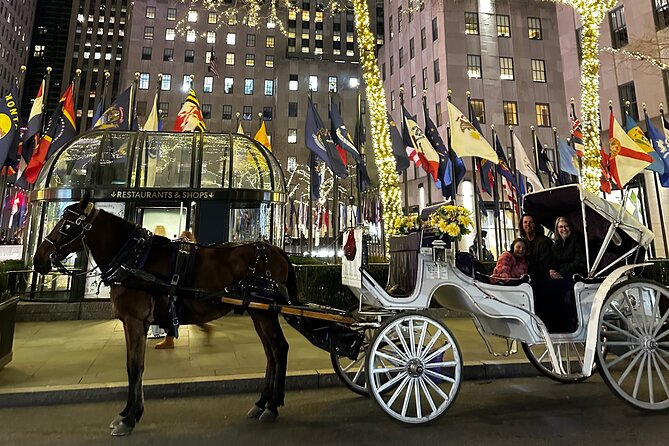 Unforgettable Luxury Horse and Carriage Tours in Central Park - What You Pay, What You Get, and the Value of Up to Four People
