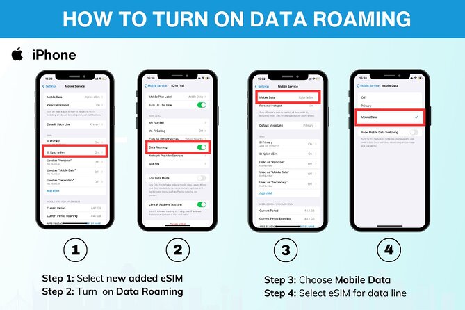 USA eSIM | 3-30 days | Daily data | QR code - Airport Purchase Option: A Backup Plan That Actually Helps