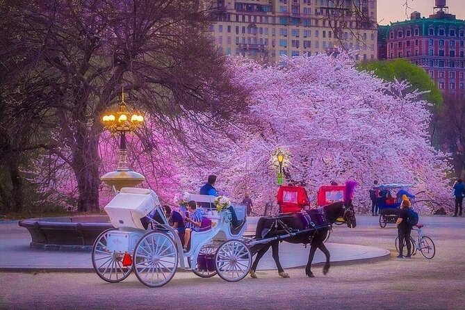 VIP Central Park Champagne Tour with Photos(50 min)~Skip the line - Meeting at Top Hat NY Horse & Carriage, Right at the Park Edge
