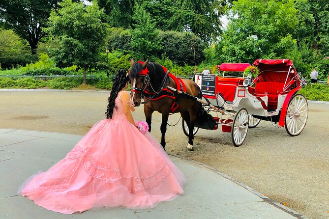 VIP Central Park Champagne Tour with Photos(50 min)~Skip the line - Bethesda Fountain: The First Stop and the Best First Photo