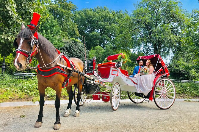 VIP Central Park Champagne Tour with Photos(50 min)~Skip the line - The Champagne Toast Setup, and the Mood It Creates