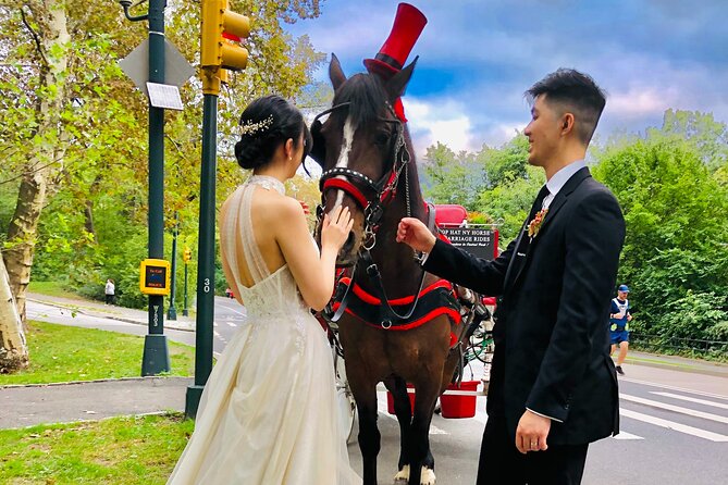 VIP Central Park Champagne Tour with Photos(50 min)~Skip the line - Proposal Planning With Your Driver: How to Make It Real