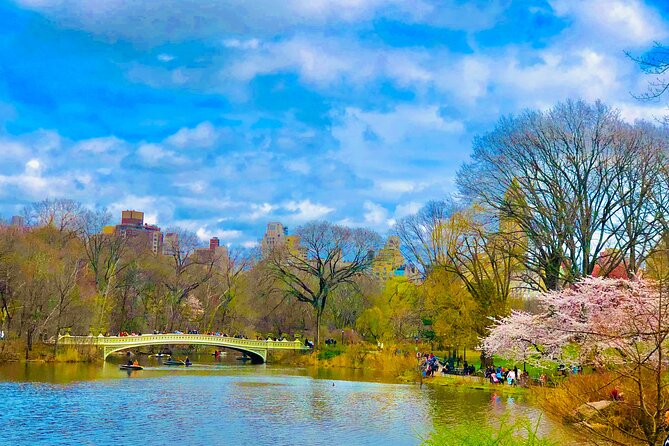 VIP Central Park Experience Tour with photos 50min~Skip the line - Cherry Hill, the carousel, and the childhood feeling parts
