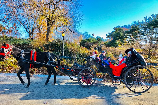 VIP Central Park Experience Tour with photos 50min~Skip the line - Tavern on the Green, plus how the ride ends