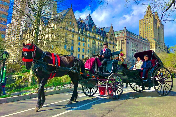 VIP Central Park Experience Tour with photos 50min~Skip the line - Getting started at Top Hat NY, and how not to lose time