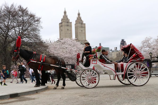 VIP Horse Carriage Ride through Central Park (Up to 4 Adults) - Why the Guide Makes This Ride Feel Worth It