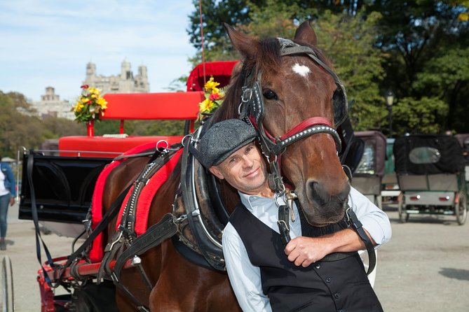 VIP Horse Carriage Ride through Central Park (Up to 4 Adults) - Weather, Horse Welfare, and What to Do If Plans Shift