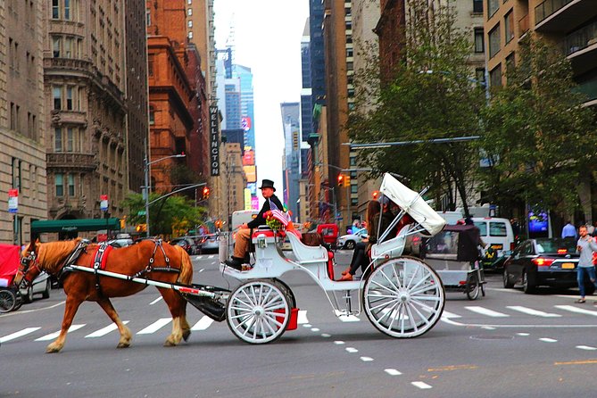 VIP Horse Carriage Ride through Central Park (Up to 4 Adults) - Who This Ride Is Best For, and Who Might Skip It