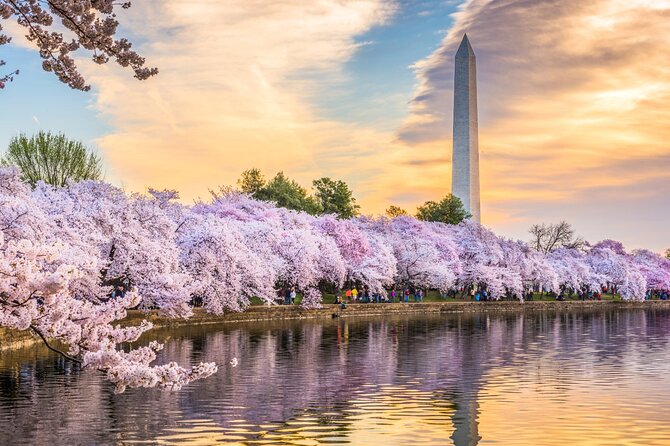 Washington DC Day Tour from New York City - Key things to know before you go
