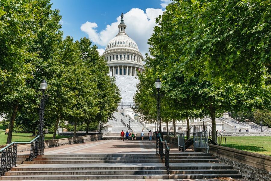Washington DC Day Trip by Bus from New York City - How long is the day, and what a realistic pace feels like